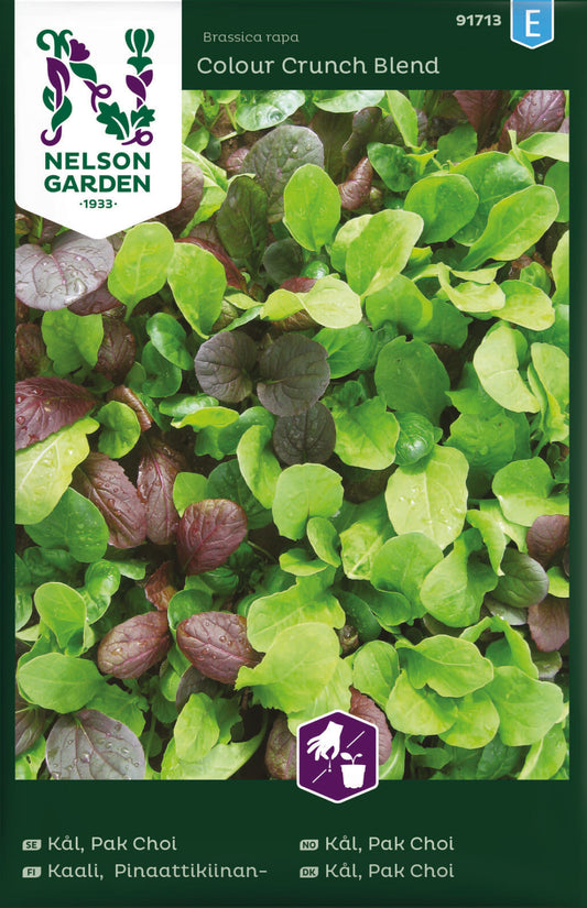 Bilde av Kål, Pak Choi, mix-Spanne Plantesalg