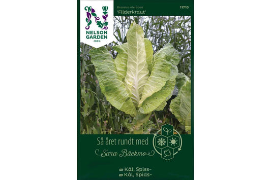 Bilde av Kål, Spiss-, Filderkraut-Spanne Plantesalg