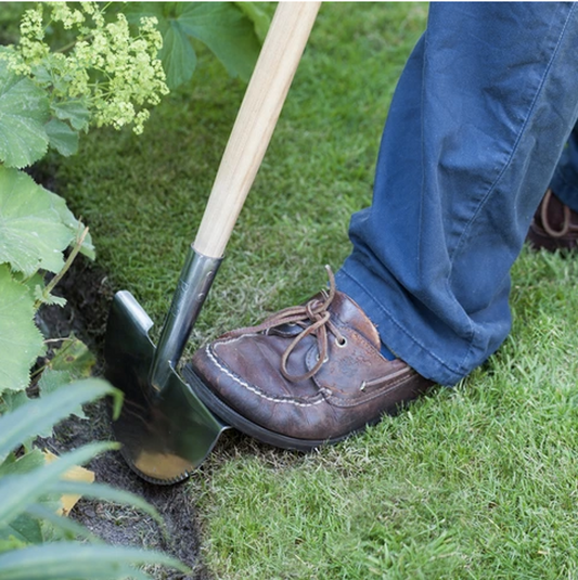 Bilde av Kantstikker-Spanne Plantesalg