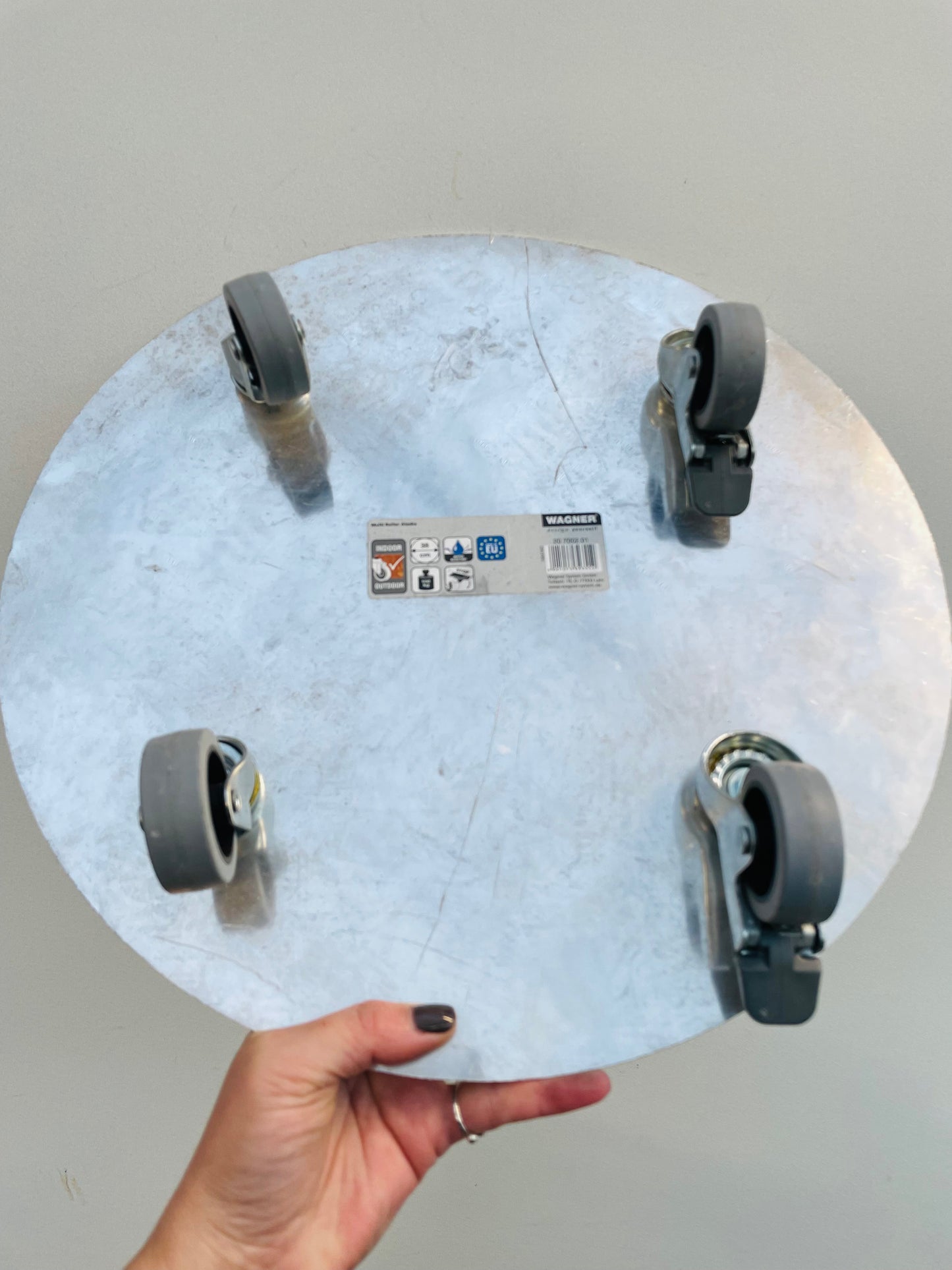 Bilde av Krukketralle ‘Alaska’-Spanne Plantesalg