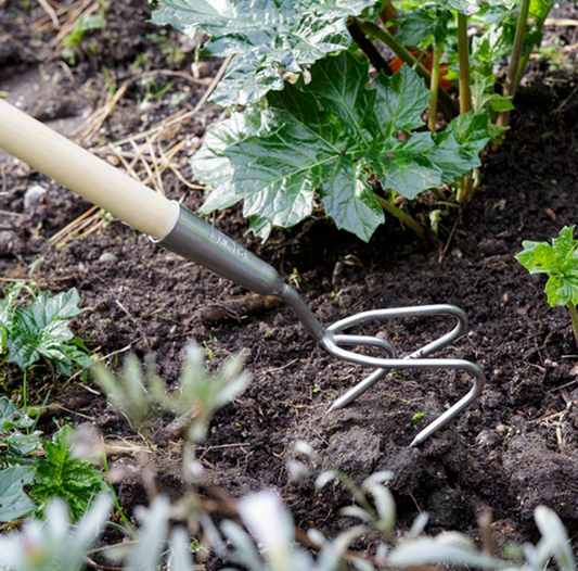 Bilde av Lang kultivator-Spanne Plantesalg