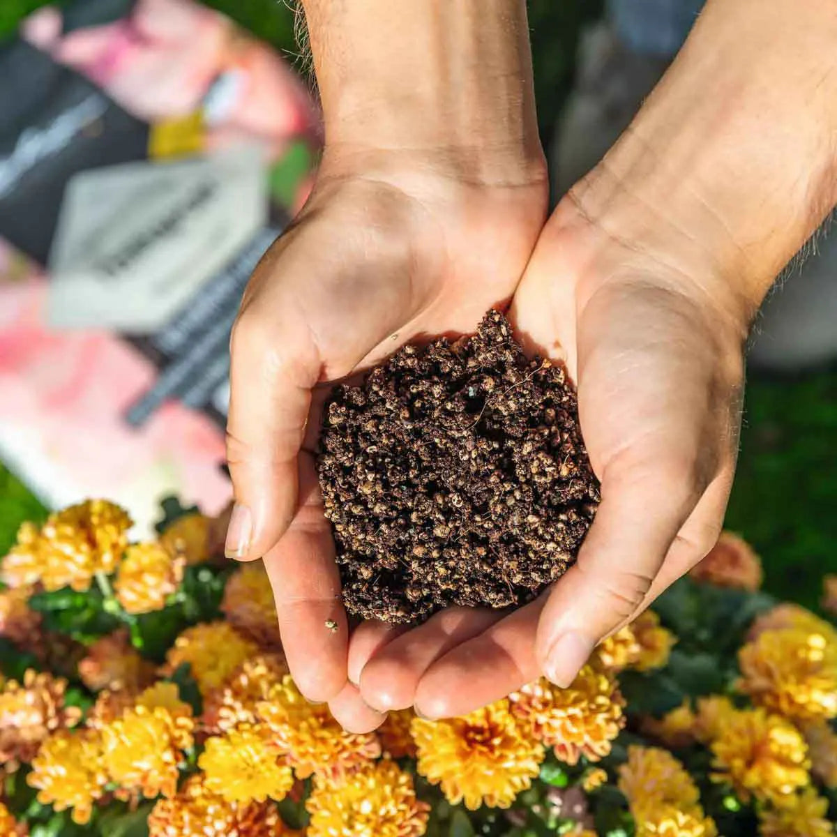 Bilde av Lechuza TerraPon 6 liter-Spanne Plantesalg