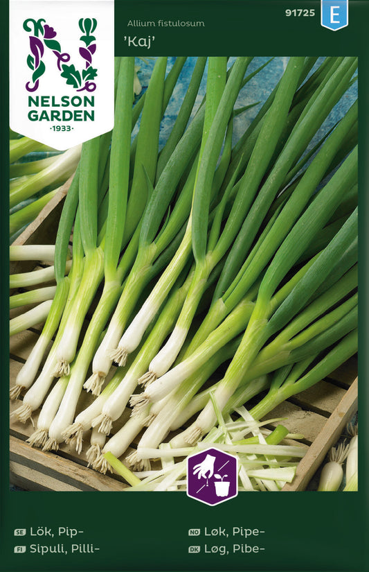 Bilde av Løk, Pipe-, Kaj-Spanne Plantesalg