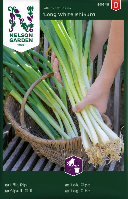 Bilde av Løk, Pipe-, Long White Ishikura-Spanne Plantesalg