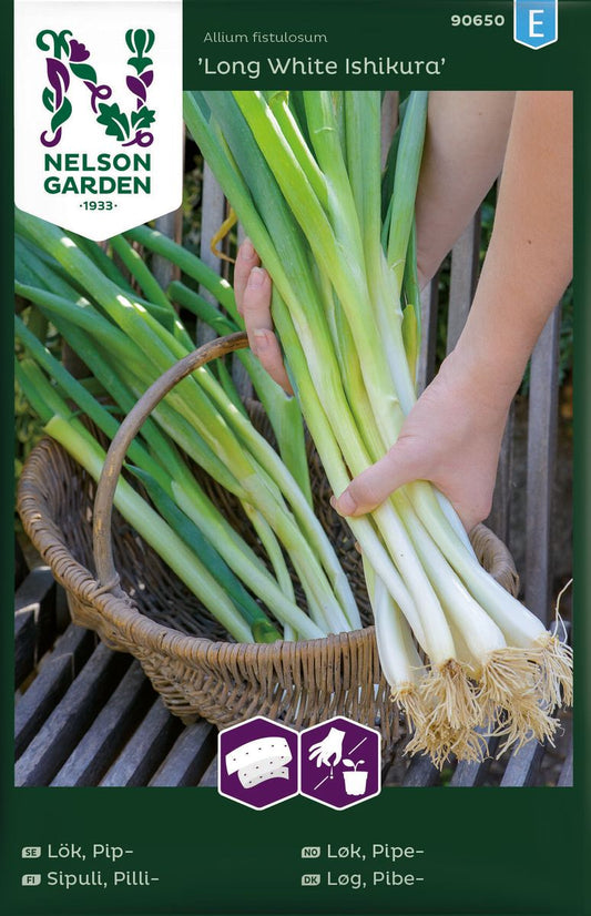 Bilde av Løk, Salat-,Long White Ishikura, Frøbånd-Spanne Plantesalg