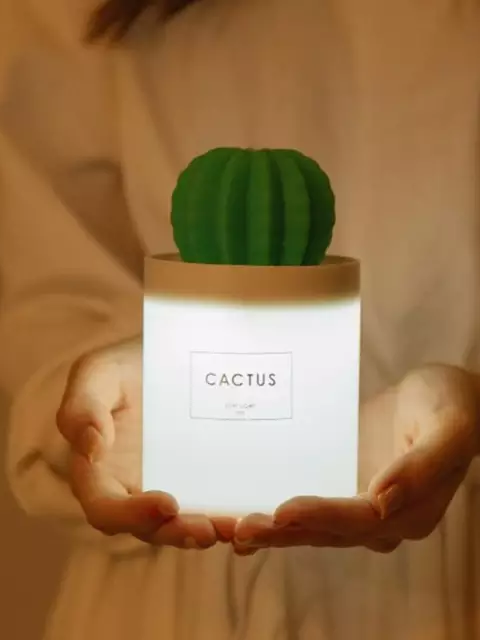 Bilde av Luftfukter 300 ml kaktus-Spanne Plantesalg