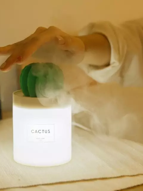Bilde av Luftfukter 300 ml kaktus-Spanne Plantesalg