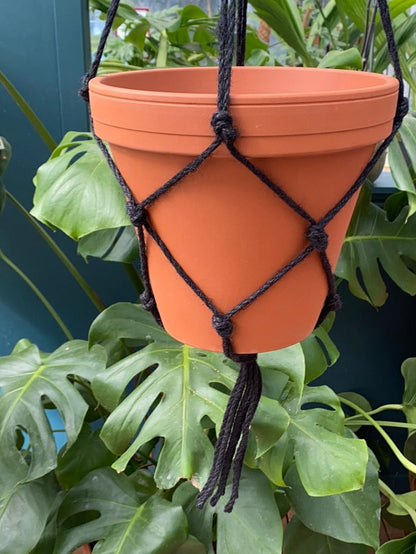 Bilde av Makrame hemp Sort-Spanne Plantesalg