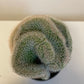 Bilde av Mammillaria Ernestii Crestata-Spanne Plantesalg