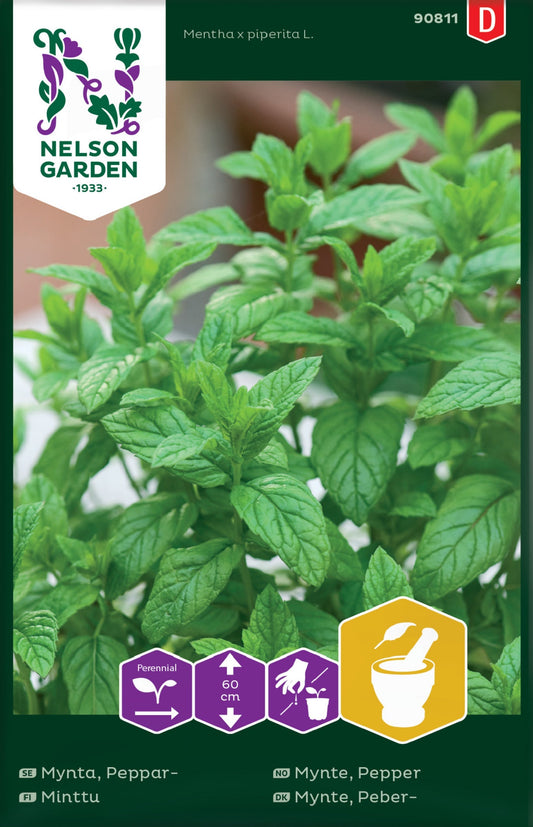 Bilde av Mynte, Pepper-Spanne Plantesalg