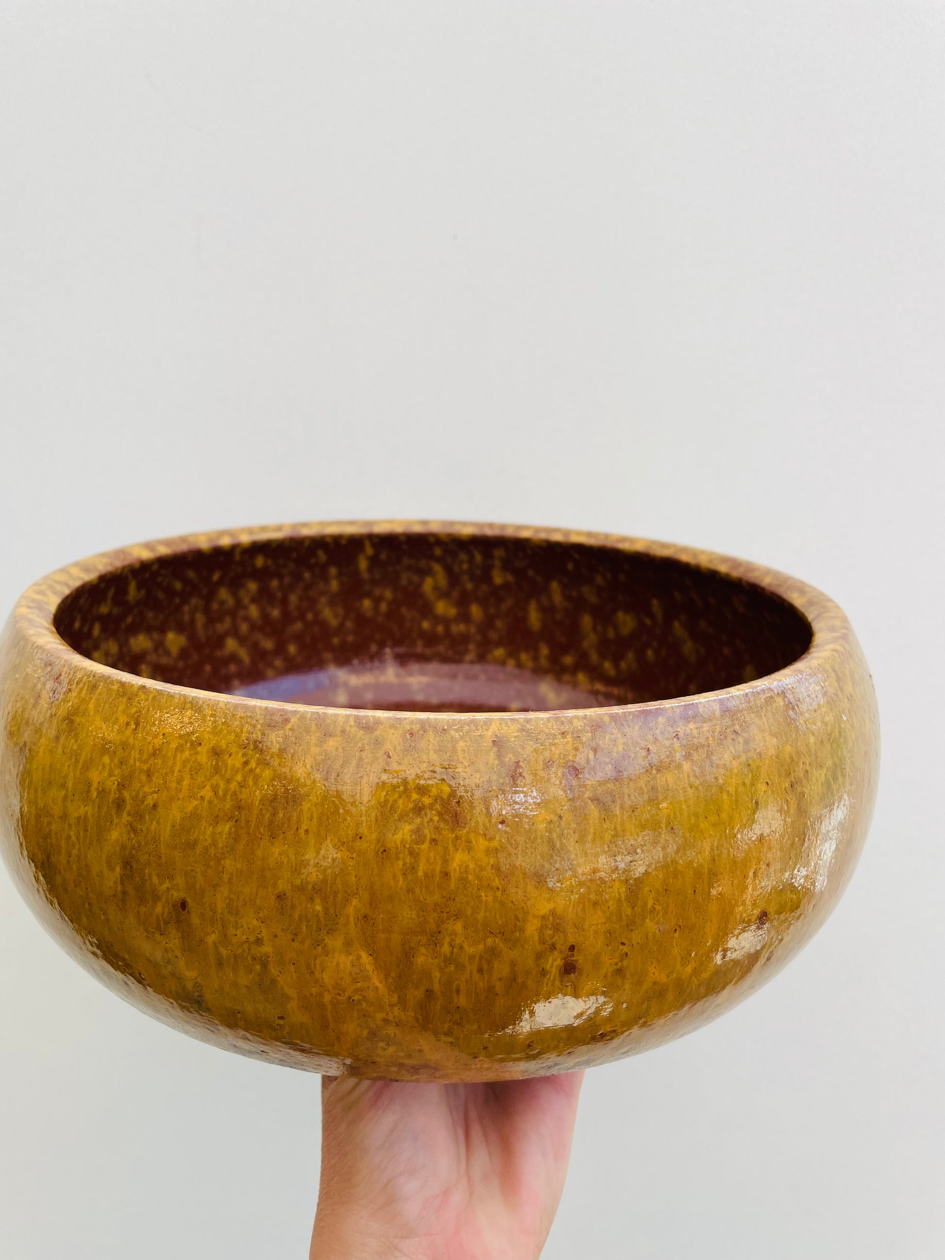 Bilde av Nybo skål gul-Spanne Plantesalg