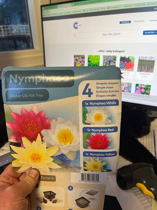 Bilde av Nymphaea Mix pakke med jord og potte-Spanne Plantesalg