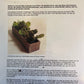 Bilde av OPUNTIA HUMIFUSA-Spanne Plantesalg