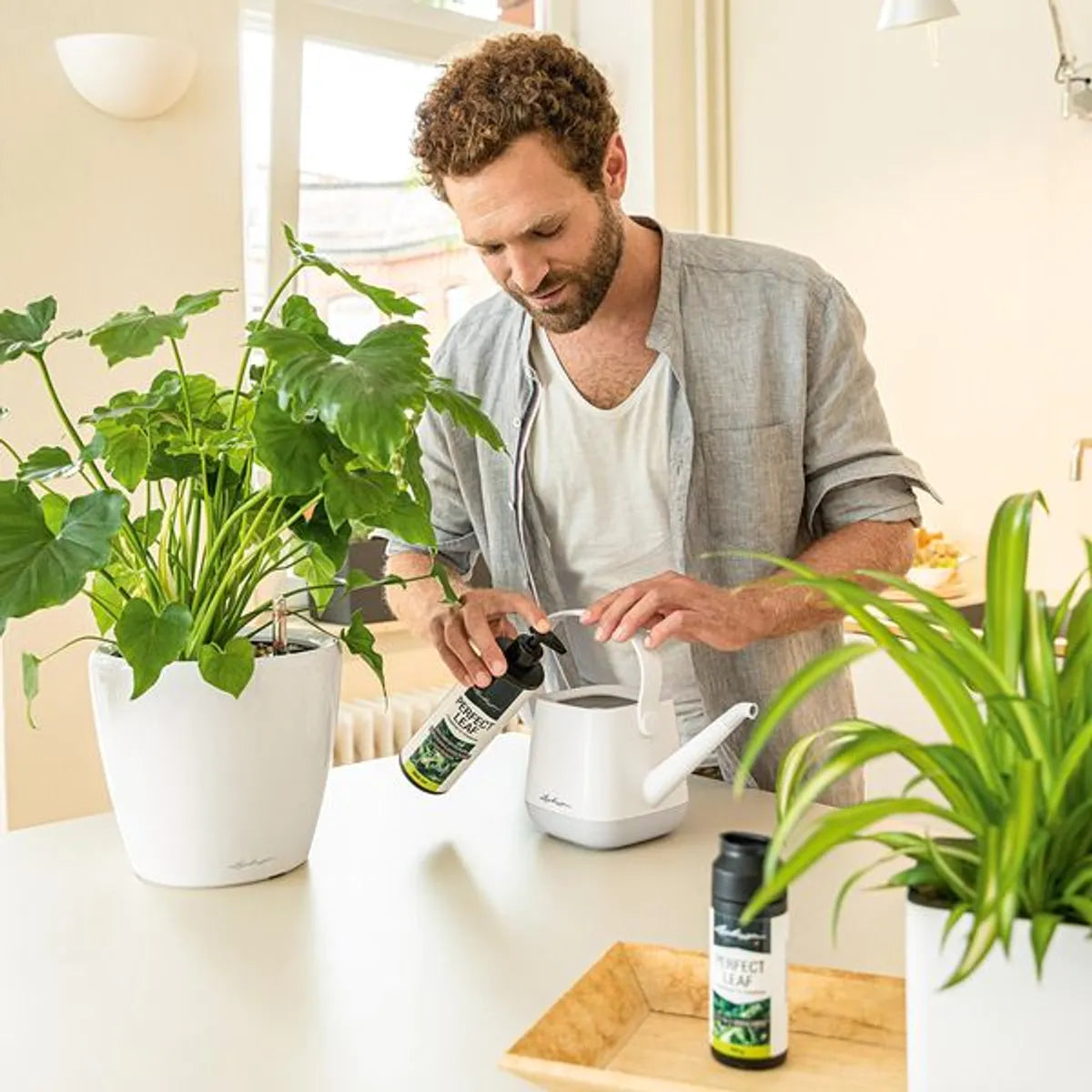 Bilde av Lechuza Perfect Leaf flytende gjødsel 475 ml-Spanne Plantesalg