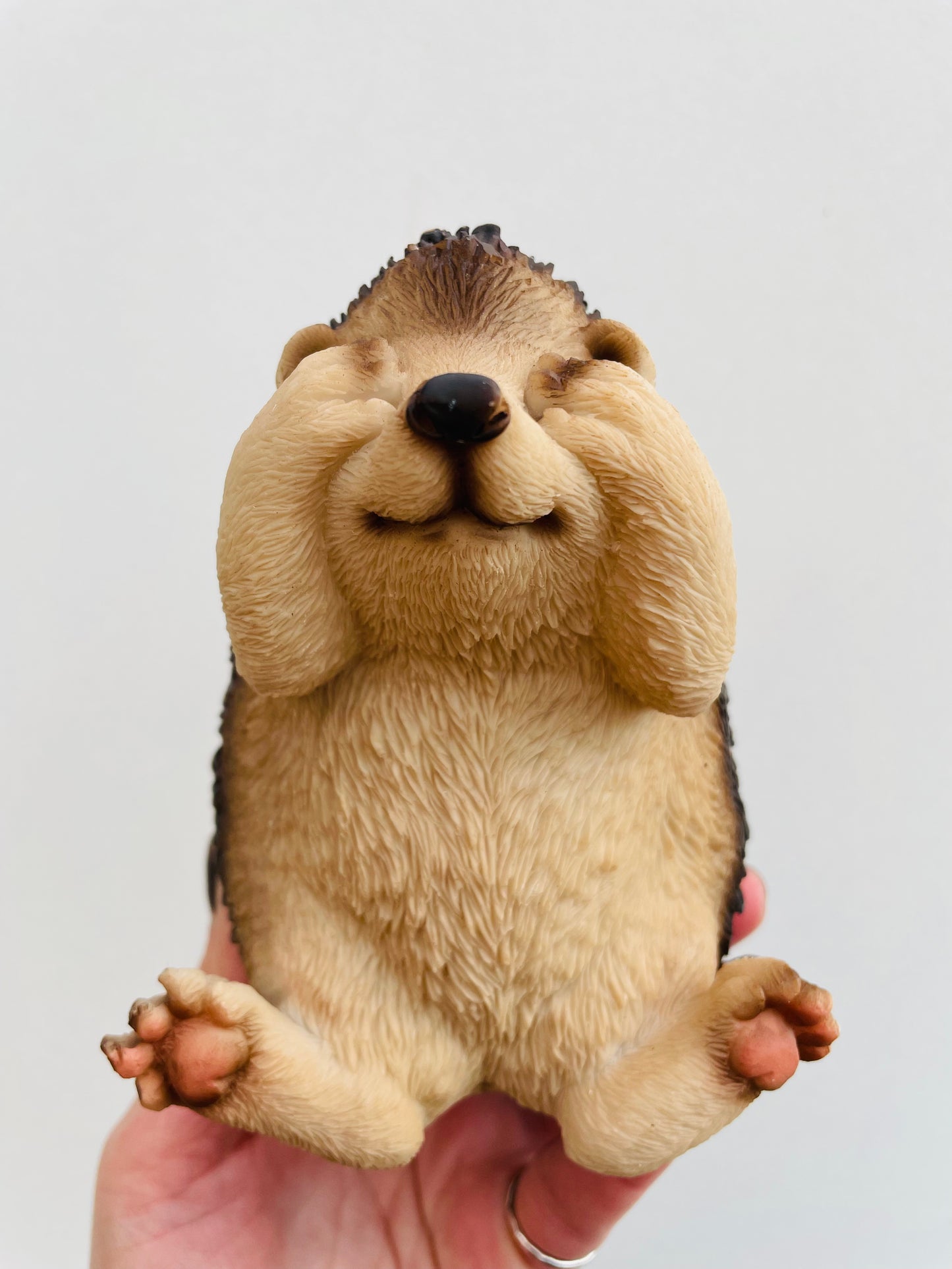 Bilde av Pinnsvin ‘Se Ikke’-Spanne Plantesalg