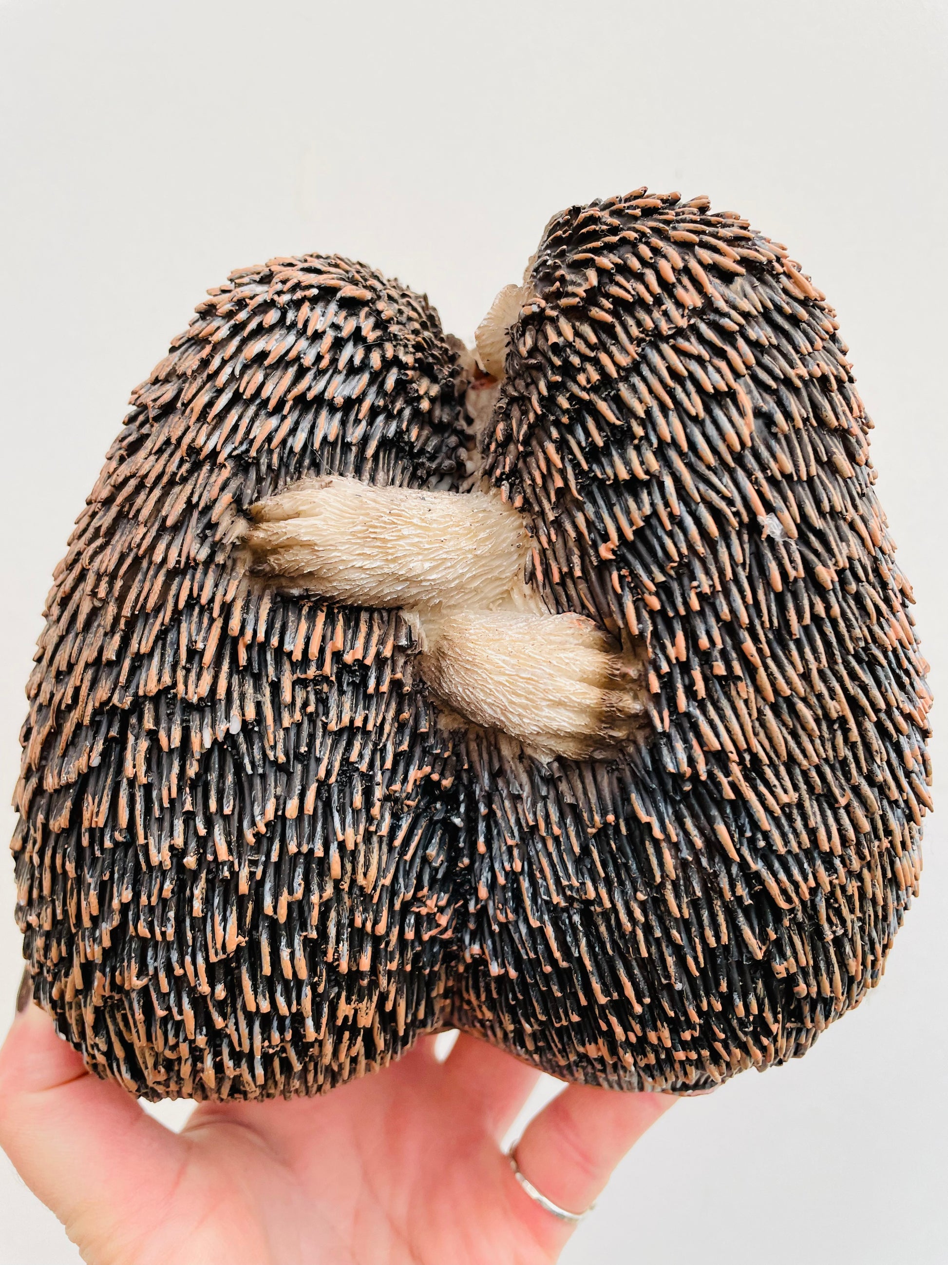 Bilde av Pinnsvinfamilie-Spanne Plantesalg