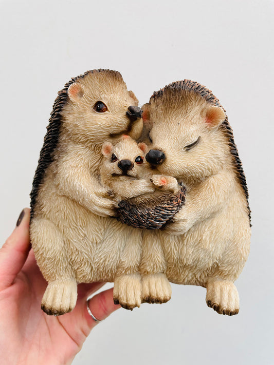 Bilde av Pinnsvinfamilie-Spanne Plantesalg