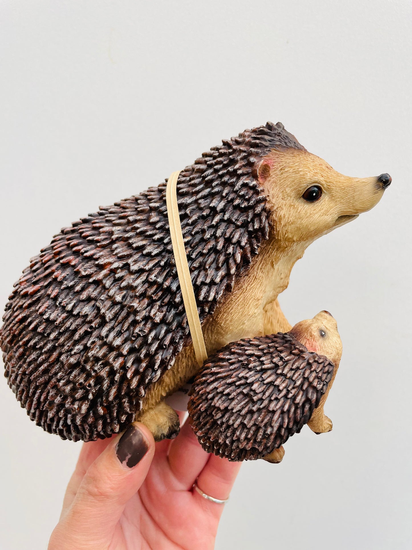 Bilde av Pinnsvinmamma og ungen-Spanne Plantesalg