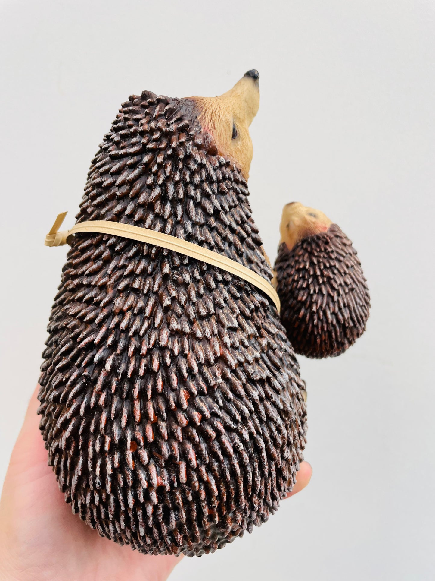 Bilde av Pinnsvinmamma og ungen-Spanne Plantesalg