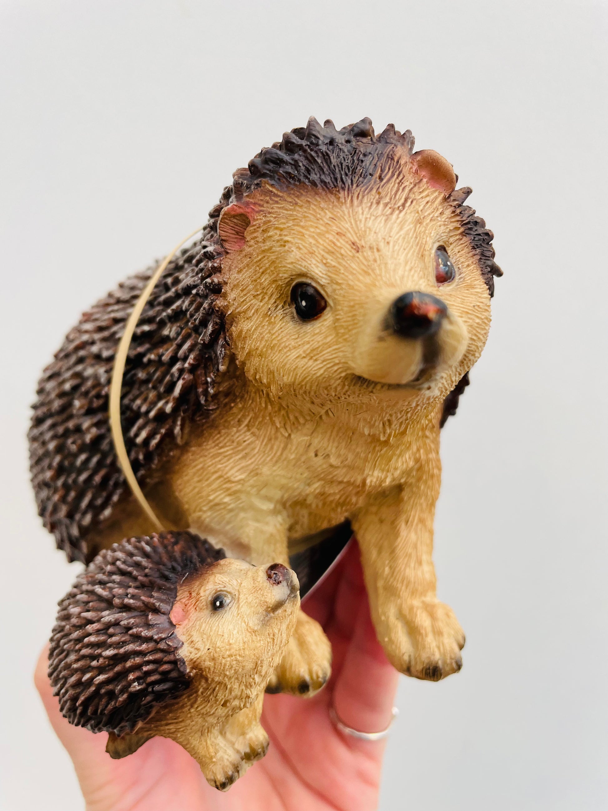 Bilde av Pinnsvinmamma og ungen-Spanne Plantesalg