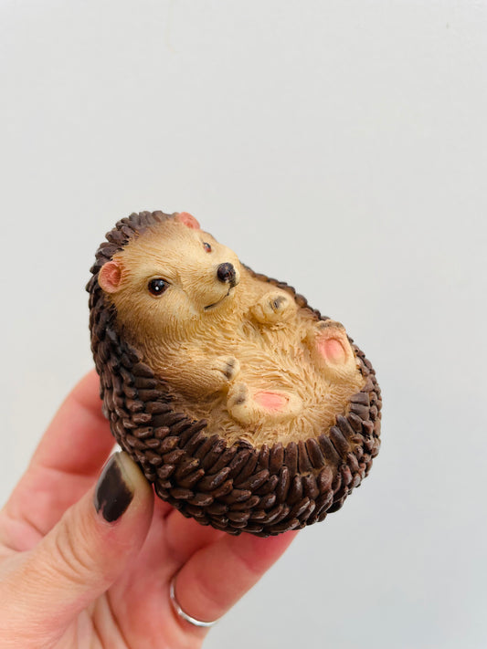 Bilde av Pinnsvinunge 1-Spanne Plantesalg