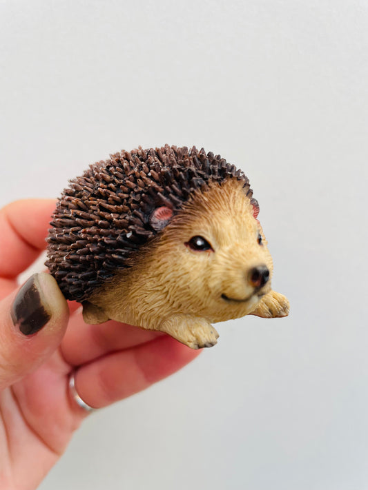 Bilde av Pinnsvinunge 2-Spanne Plantesalg