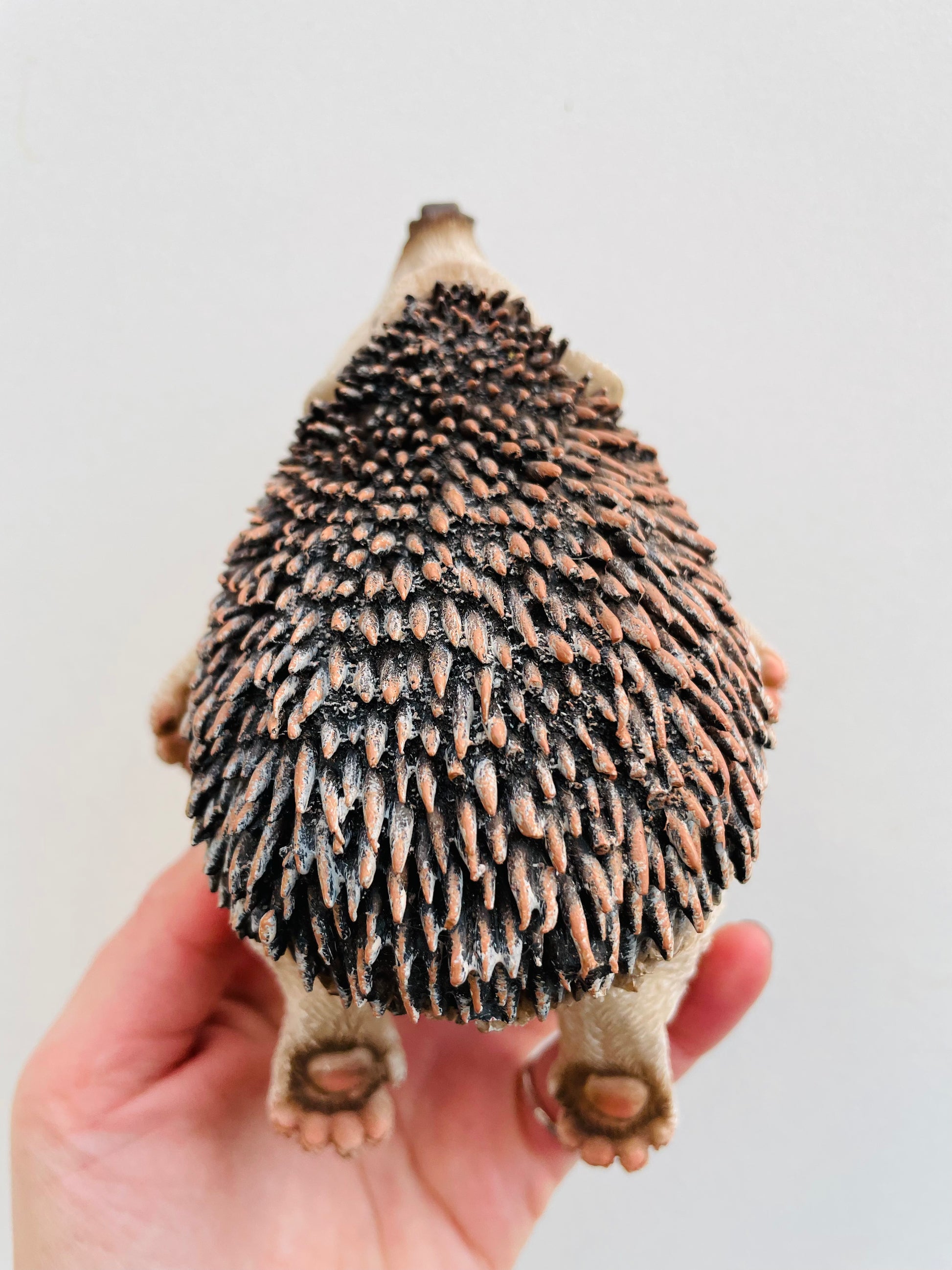 Bilde av Pinnsvinunge 3-Spanne Plantesalg