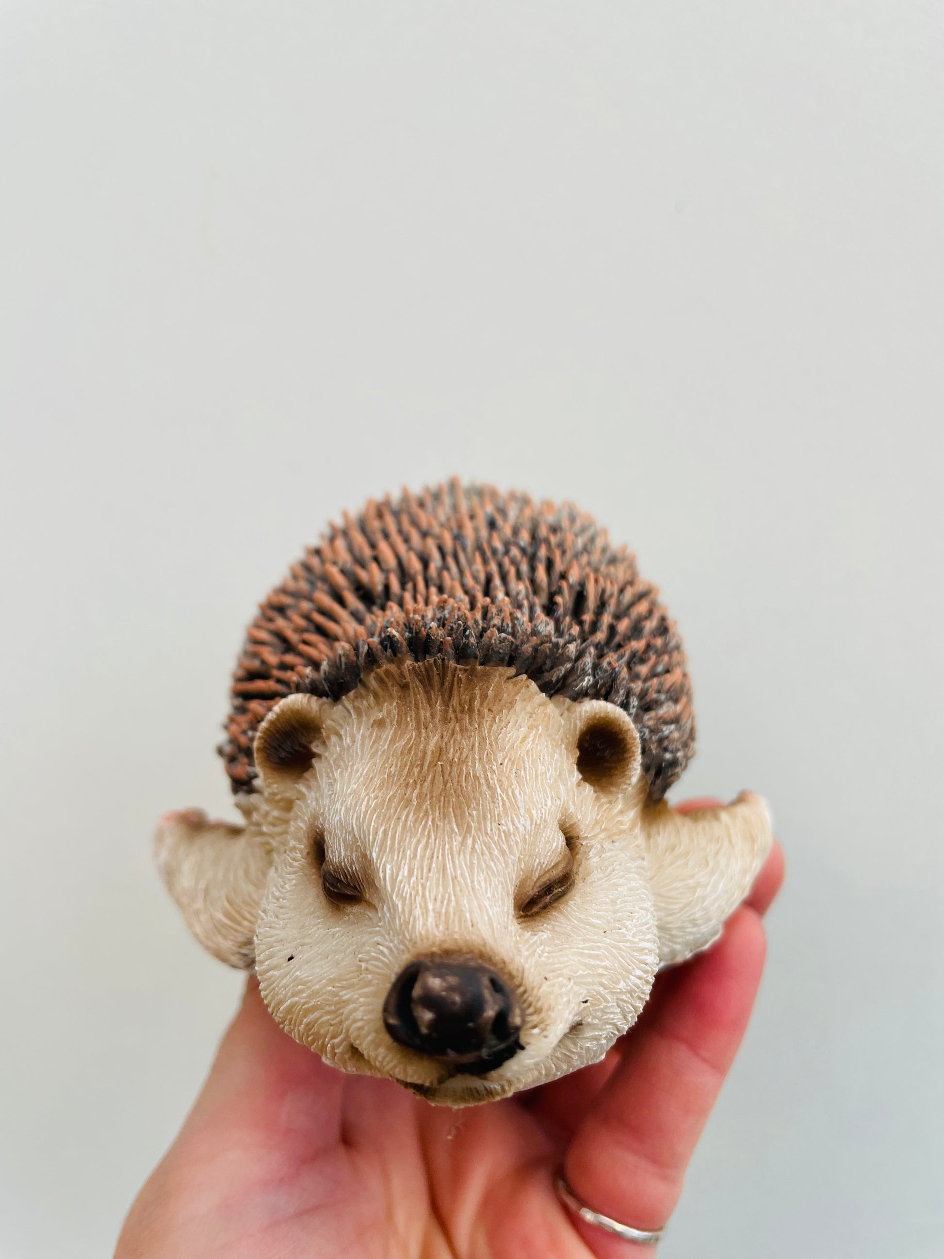 Bilde av Pinnsvinunge 3-Spanne Plantesalg