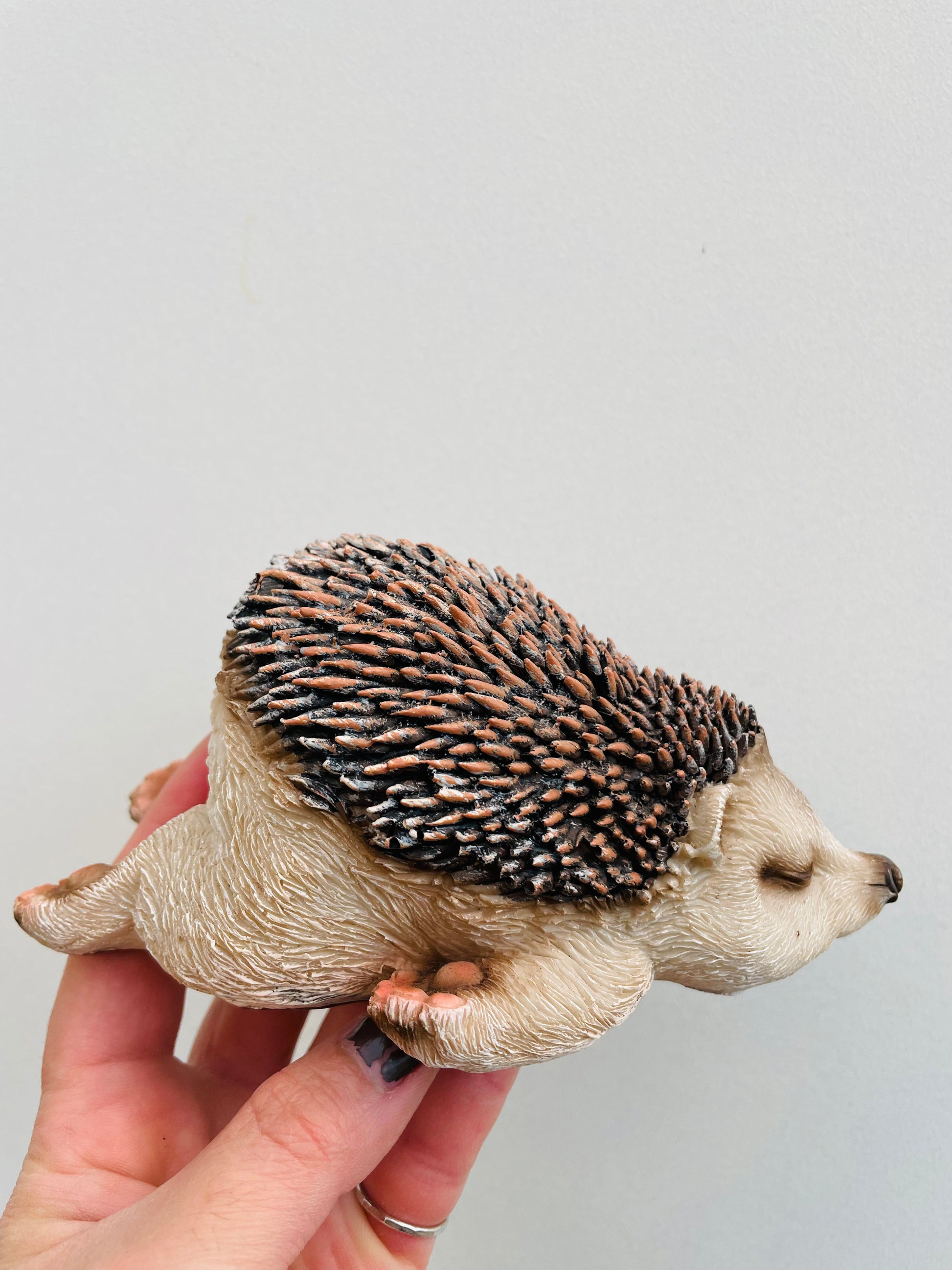 Bilde av Pinnsvinunge 3-Spanne Plantesalg