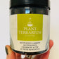 Bilde av Plant terrarium activated charcoal-Spanne Plantesalg
