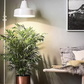 Bilde av Plantelys LED-pære E27 12 W-Spanne Plantesalg