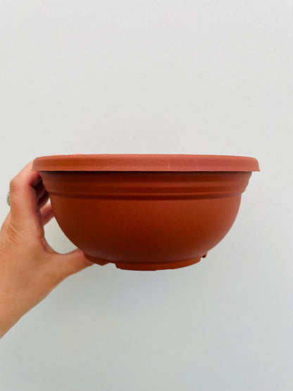 Bilde av Planteskål Teku 17 cm-Spanne Plantesalg