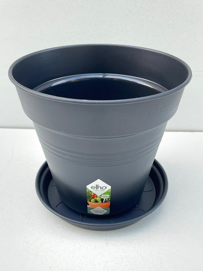 Bilde av Plastpotte Elho med fat svart 17 cm-Spanne Plantesalg