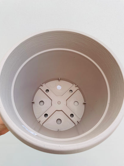 Bilde av Plastpotte med fat 22 cm-Spanne Plantesalg