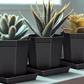 Bilde av Plastpotte med fat sort 1 st-Spanne Plantesalg