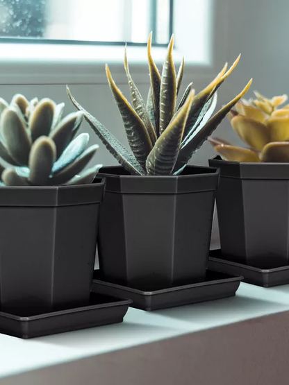 Bilde av Plastpotte med fat sort 1 st-Spanne Plantesalg