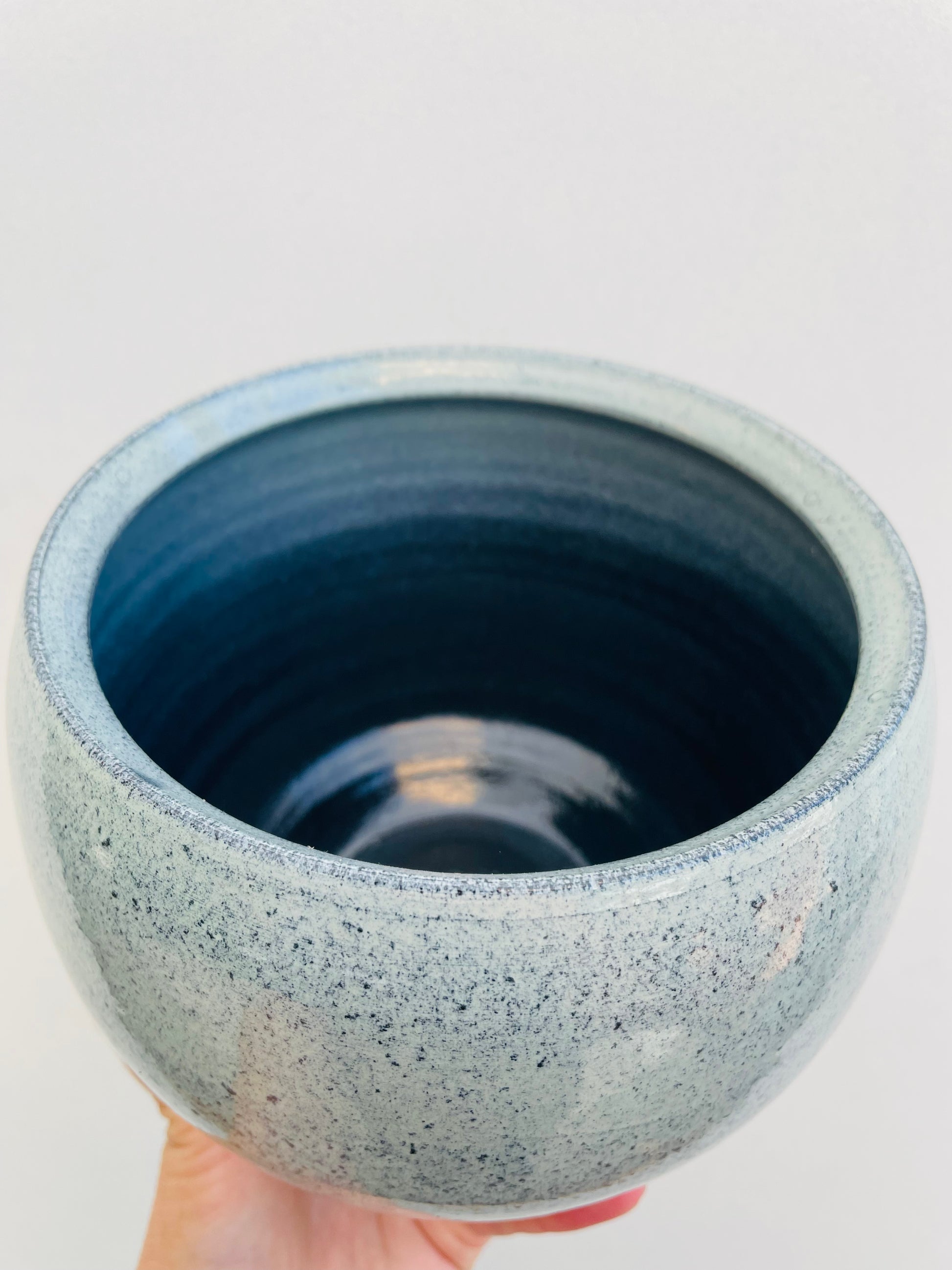 Bilde av Potteskjuler ‘Ice Blue’ 13 cm-Spanne Plantesalg