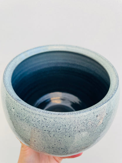 Bilde av Potteskjuler ‘Ice Blue’ 13 cm-Spanne Plantesalg
