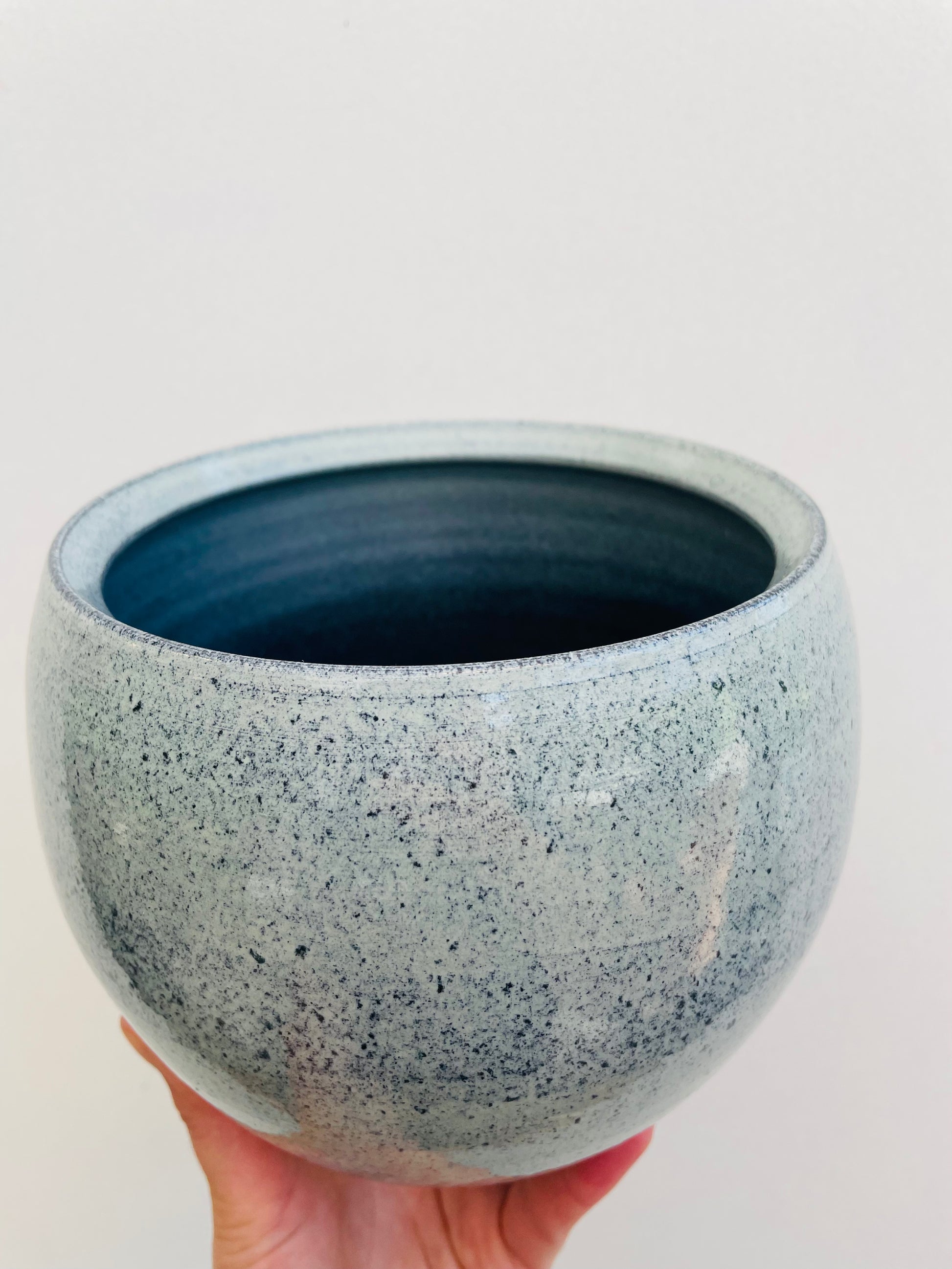 Bilde av Potteskjuler ‘Ice Blue’ 13 cm-Spanne Plantesalg