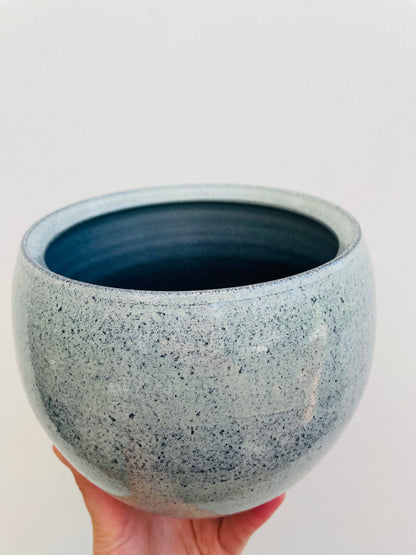 Bilde av Potteskjuler ‘Ice Blue’ 13 cm-Spanne Plantesalg