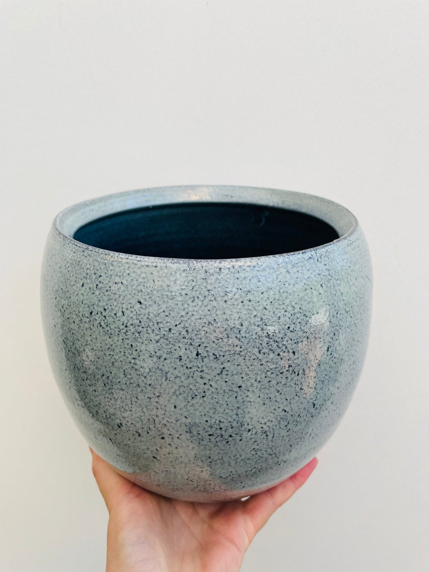 Bilde av Potteskjuler ‘Ice Blue’ 16 cm-Spanne Plantesalg