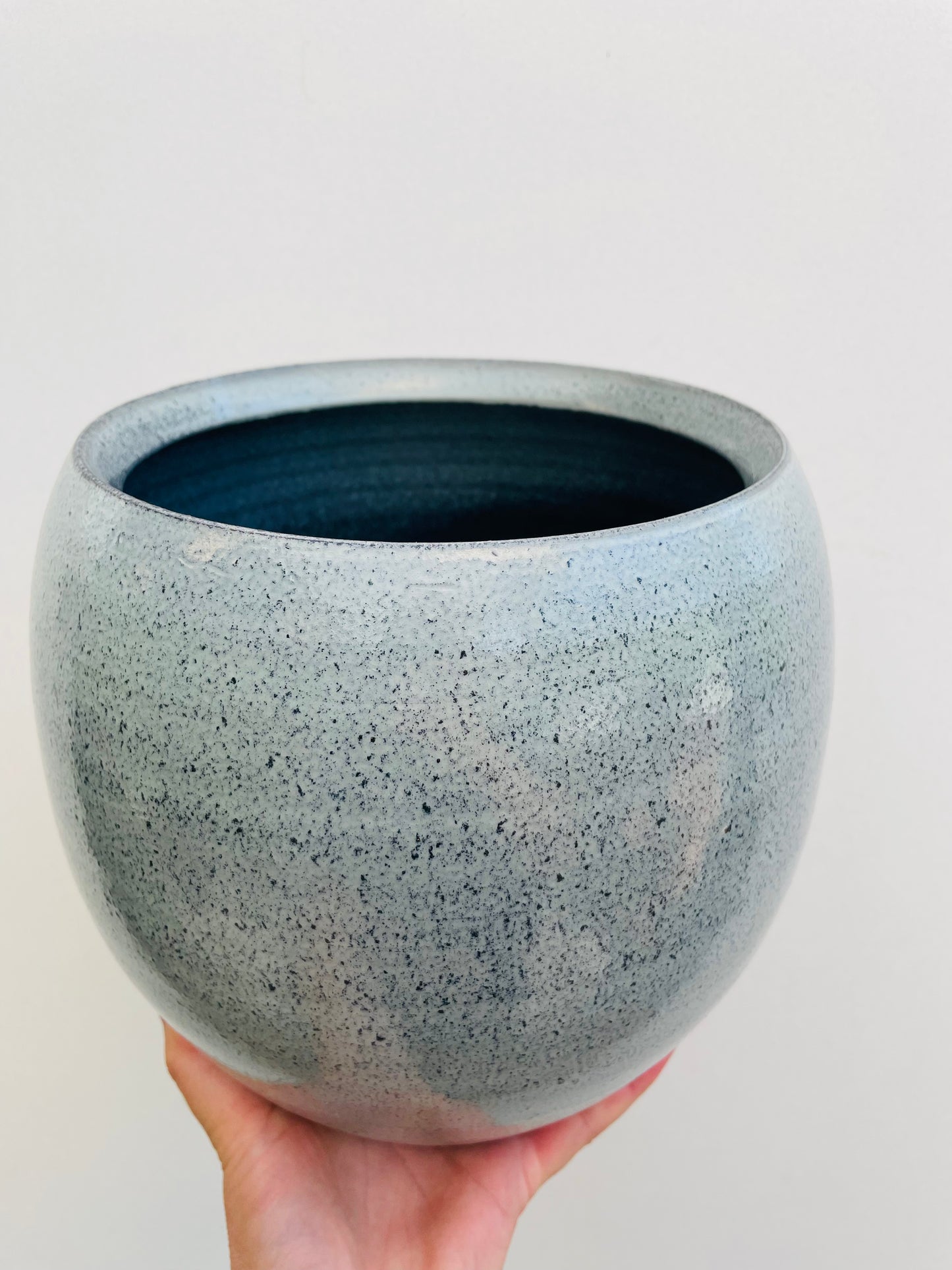 Bilde av Potteskjuler ‘Ice Blue’ 18 cm-Spanne Plantesalg