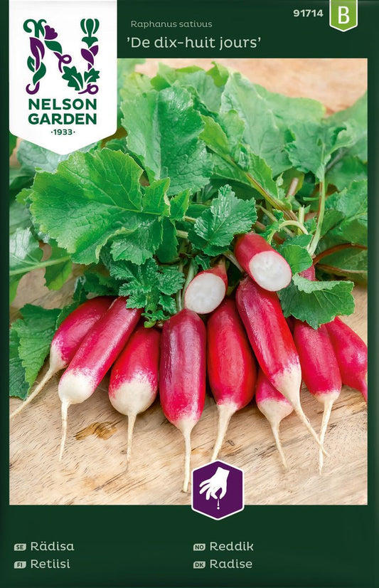 Bilde av Reddik, De dix-huit jours-Spanne Plantesalg