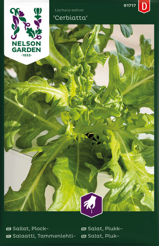 Bilde av Salat, Plukk-, Cerbiatta-Spanne Plantesalg