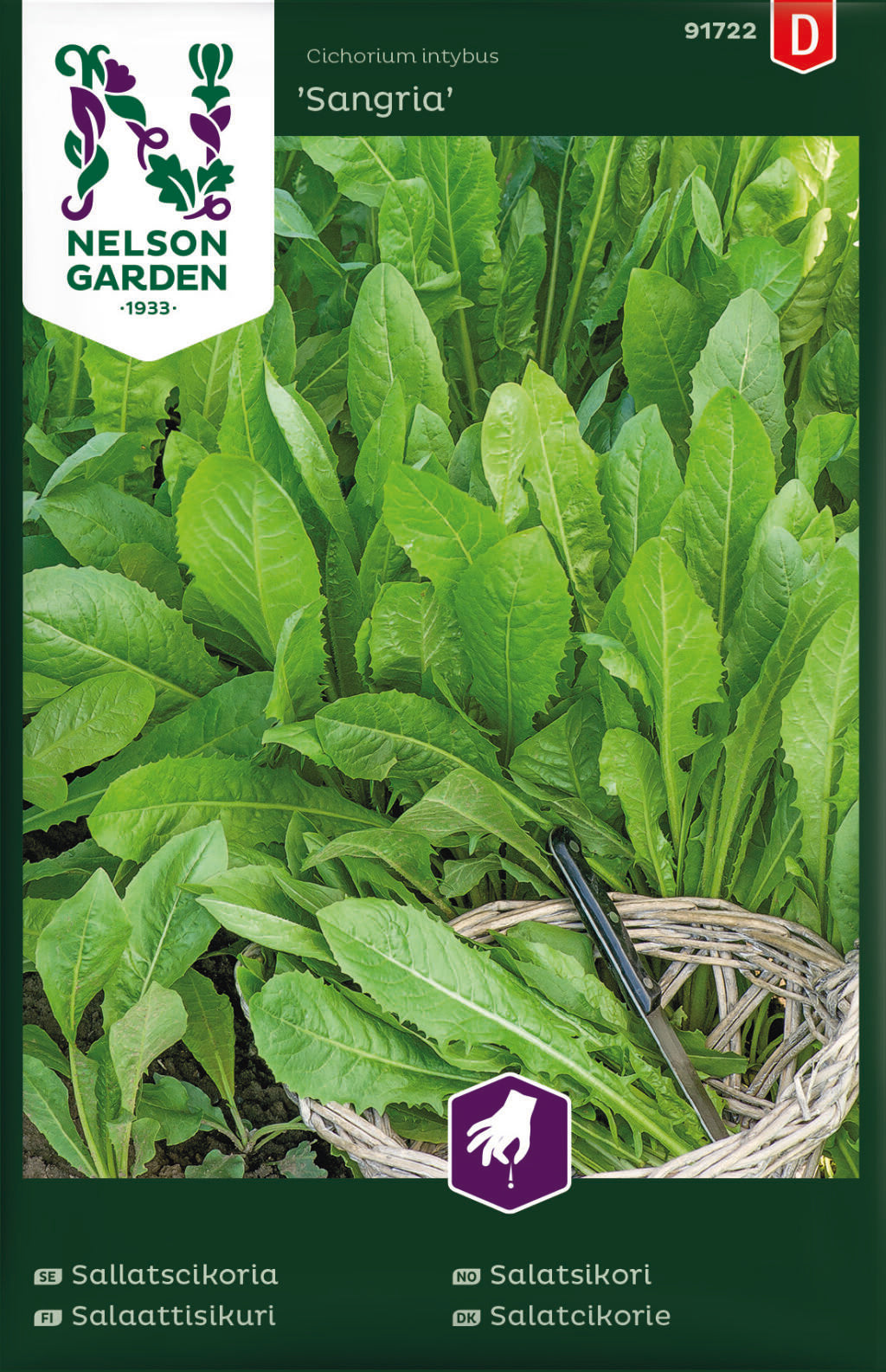 Bilde av Sallatscikoria, Sangria-Spanne Plantesalg