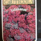 Bilde av Sedum cauticolum Lidakense-Spanne Plantesalg