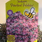 Bilde av Sedum cauticolum Painted Pebble-Spanne Plantesalg