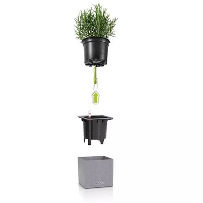 Bilde av Selvvanningspotte Lechuza Canto Stone 14-Spanne Plantesalg
