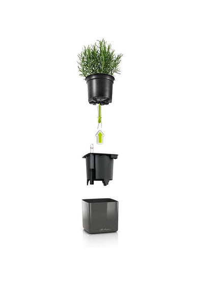 Bilde av Selvvanningspotte Lechuza Cube Glossy 14-Spanne Plantesalg