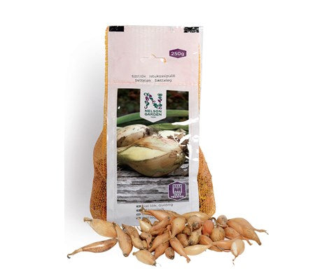 Bilde av Setteløk Gul 21/24 250g-Spanne Plantesalg